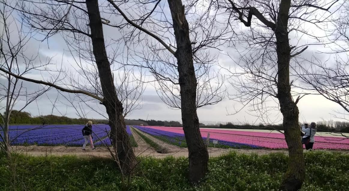 Trouz Ar Mor Villa Penmarcʼh Dış mekan fotoğraf